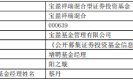 宝盈基金阳之璇增聘及区块链技术潜在影响