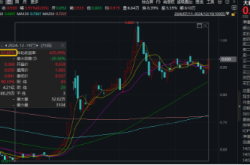 数据科技板块强势反弹，大数据产业ETF领涨